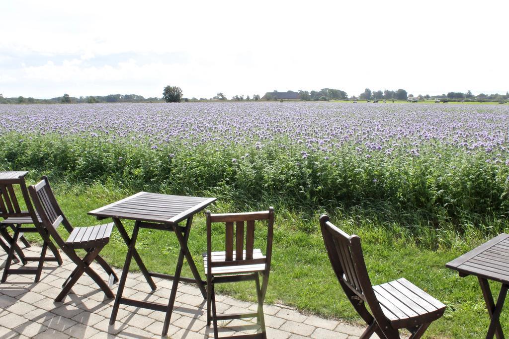 Ramsjögård Hotell Rammsjö Exteriör bild